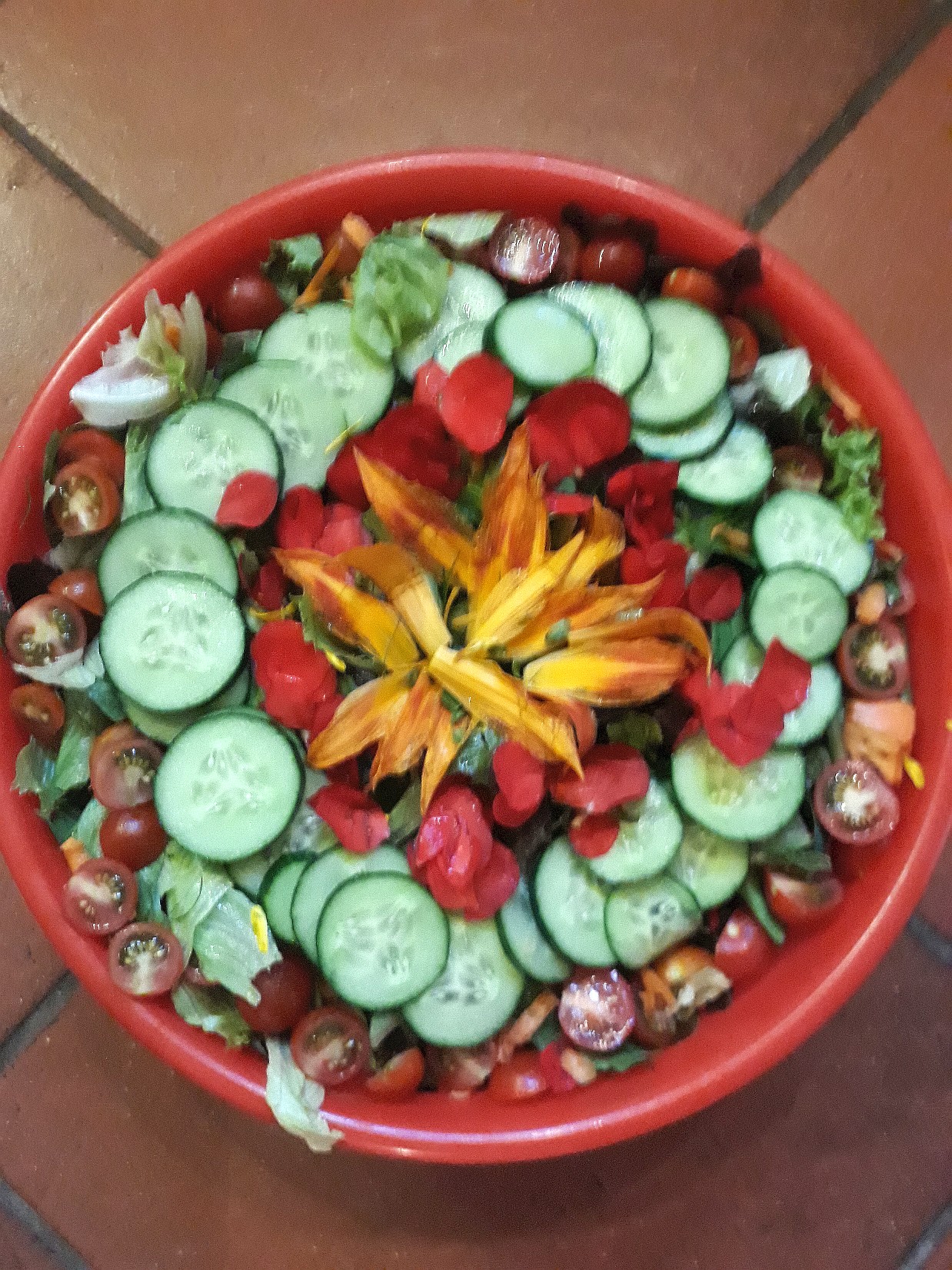 Sommer-Kräuter-Salat 2018