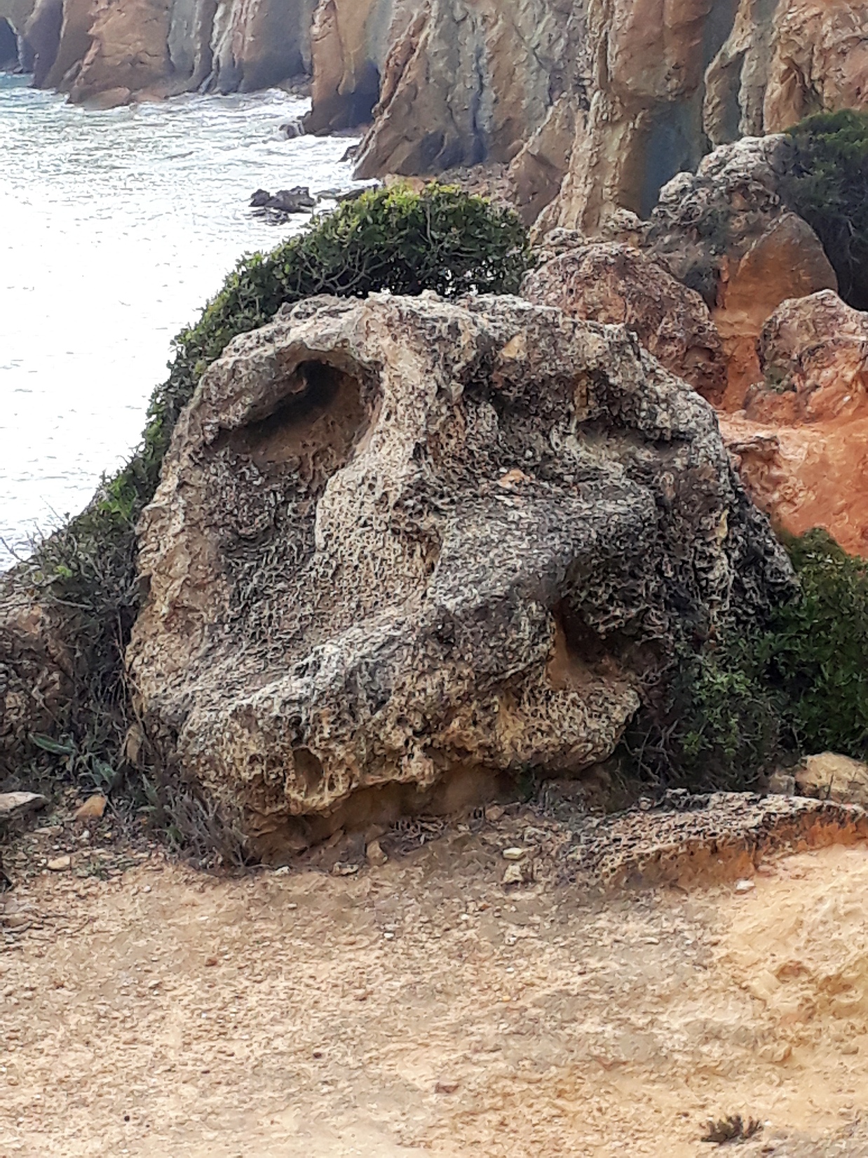Schädel eines Kobolds Algarve